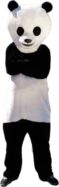 Panda mascot