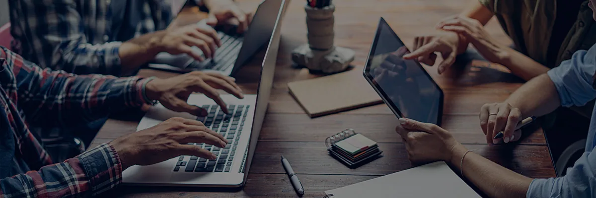 Meet the Team